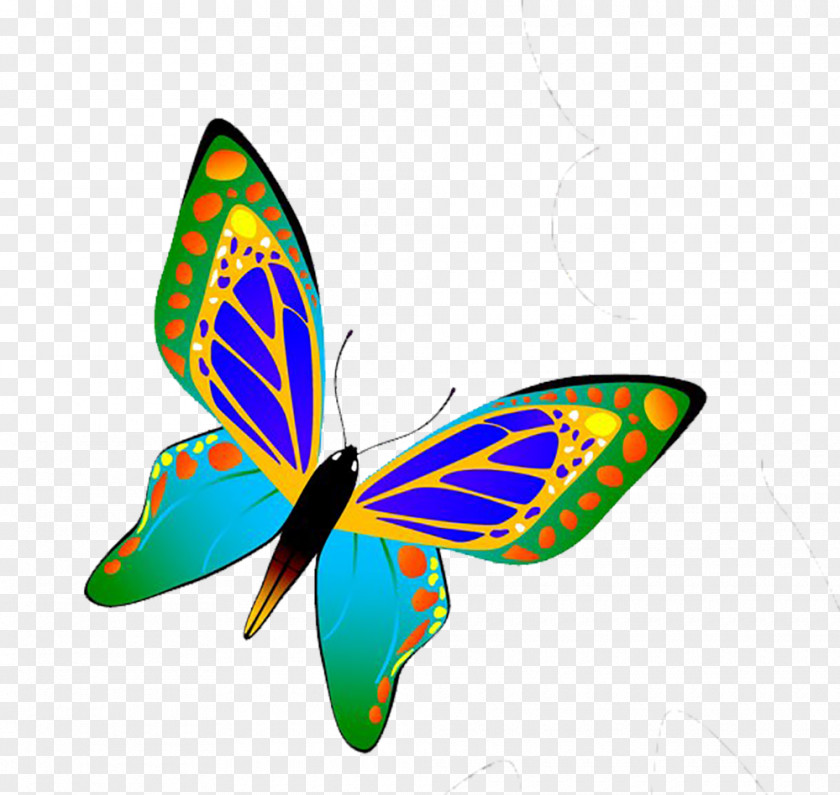 Blue Butterfly Insect Euclidean Vector PNG