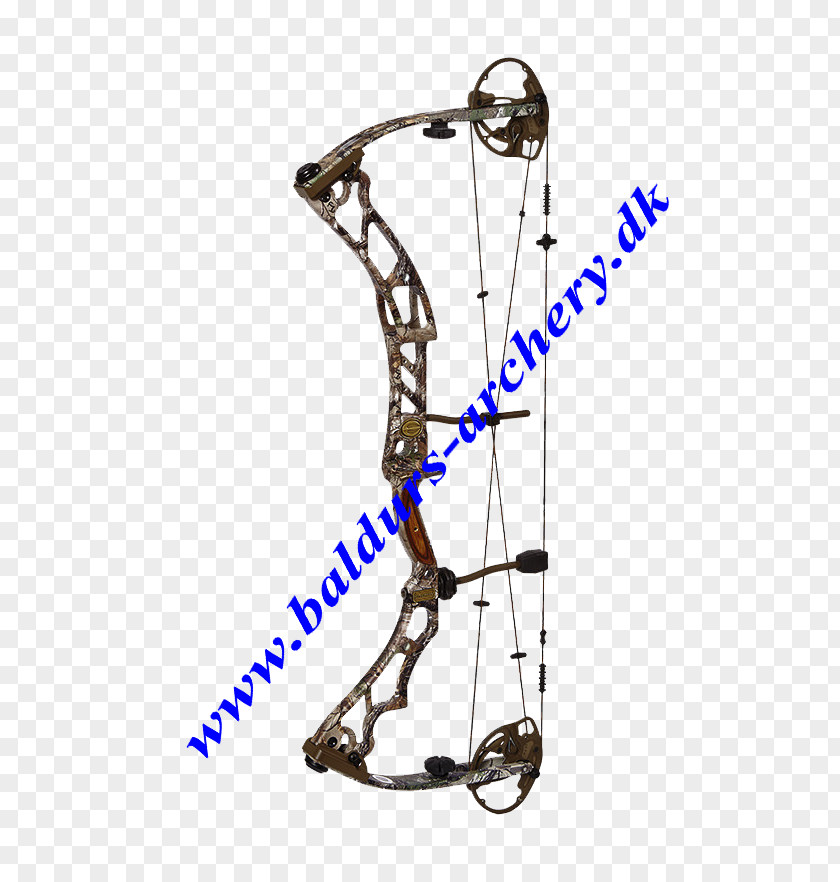 Compound Bows Archery Bow And Arrow Bowhunting PNG