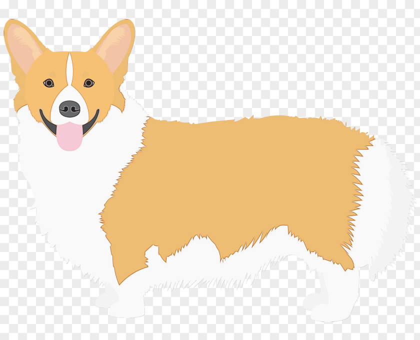 Icelandic Sheepdog Cardigan Welsh Corgi Dog Pembroke PNG