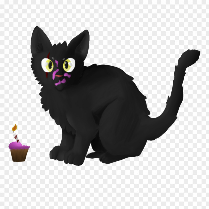 Kitten Black Cat Bombay Korat Domestic Short-haired PNG
