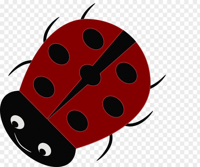 Ladybird Beetle Beetles PNG