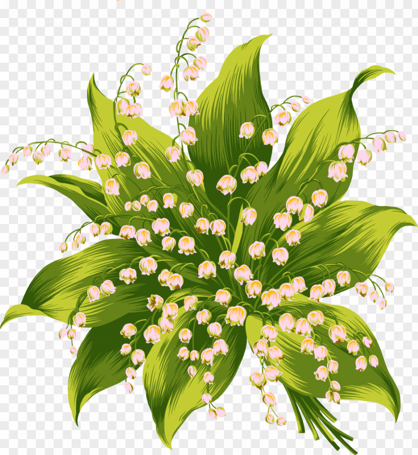 Lily Flower Bud PNG