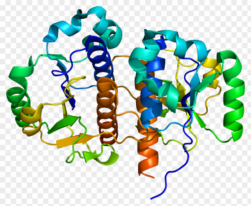 TARBP1 Enzyme Gene Protein Clip Art PNG