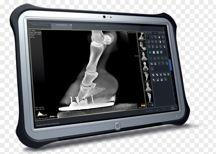 Doctor With Ipad Radiology Veterinarian Tablet Computers Veterinary Medicine Medical Imaging PNG