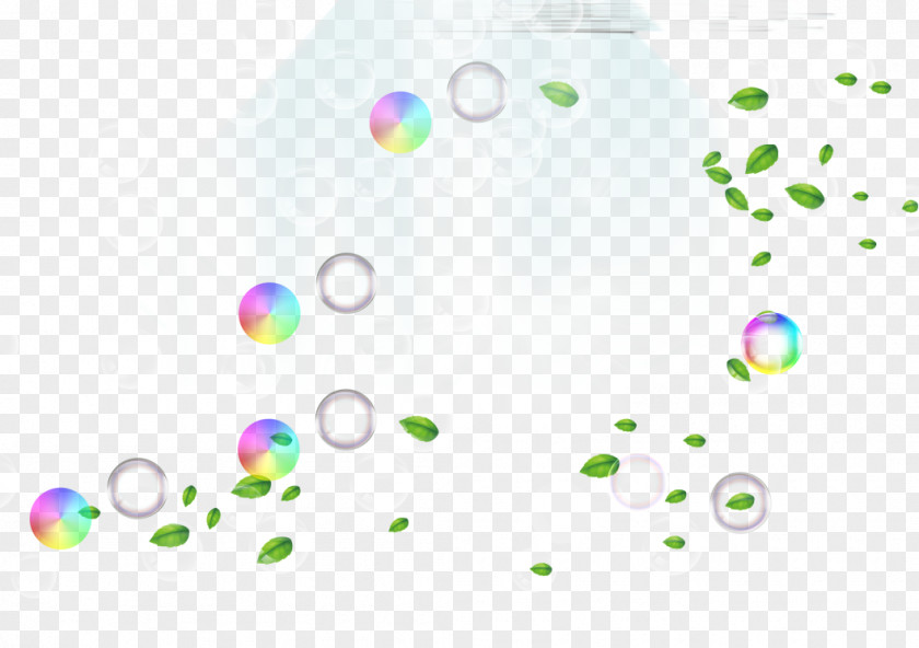 Floating Leaves And Bubbles Leaf Download PNG