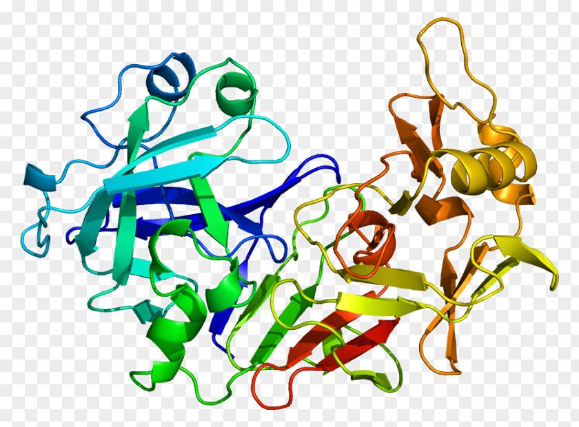 Pepsinogen PGA5 Protein Pepstatin PNG