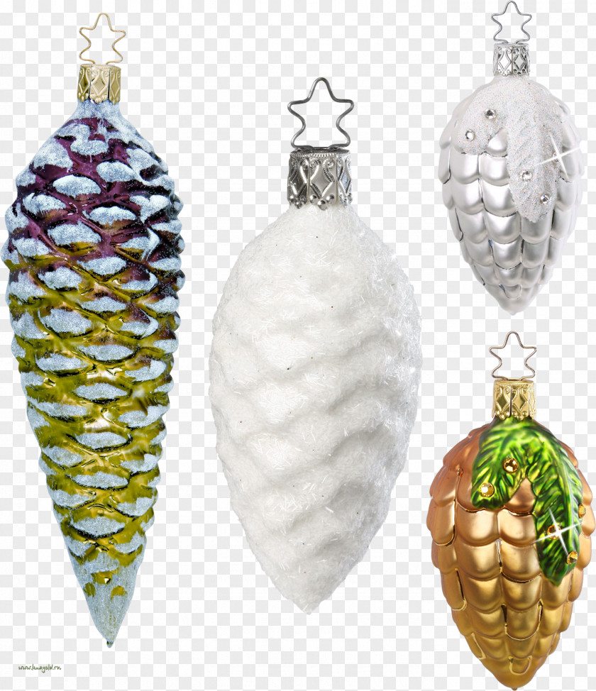 Pine Cone Christmas Ornament Conifer Clip Art PNG