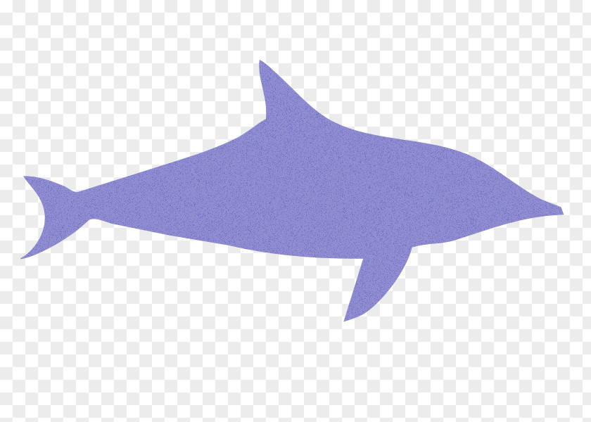 Shark Common Bottlenose Dolphin Tucuxi Hippopotamus Dog PNG