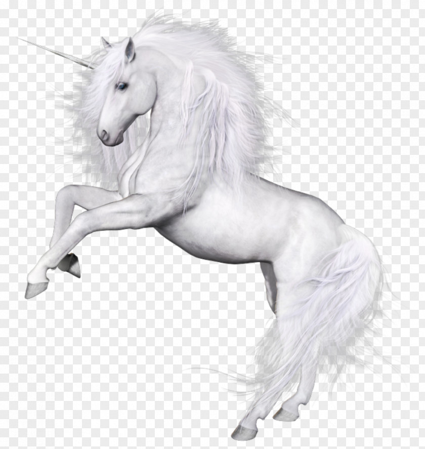 Unicorn PNG Horse Oreus Kristian's Quest Mane PNG