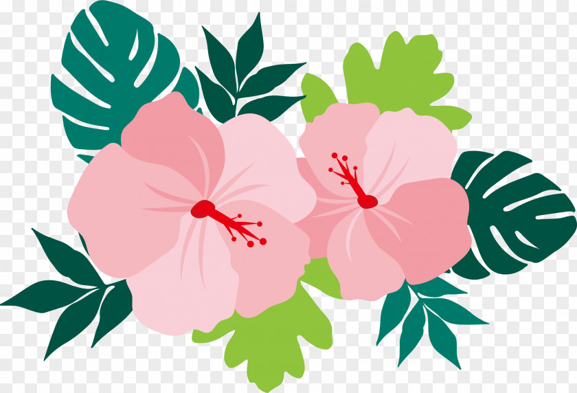 Vector Illustration Of Flowers Flower Euclidean Common Hibiscus PNG