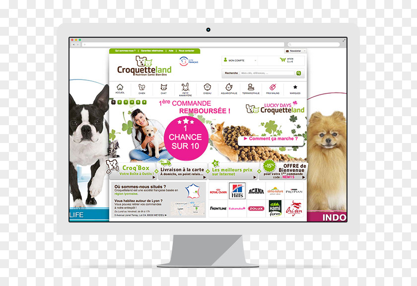 Dog Display Advertising Brand Multimedia PNG