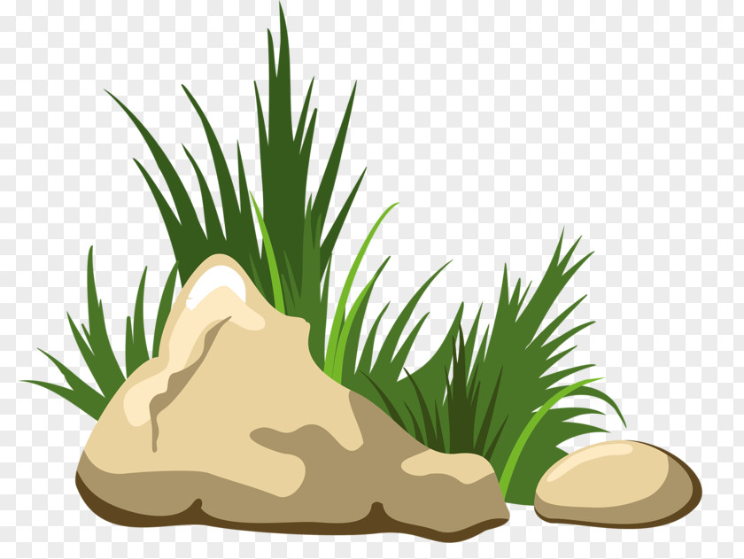 Grass Stone Rock Royalty-free Clip Art PNG