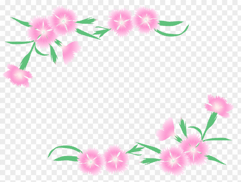 Pink Flower Plant Petal Pedicel PNG