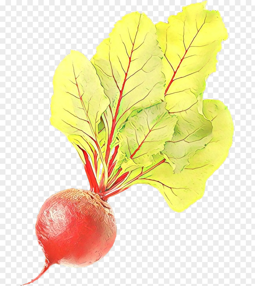 Turnip Leaf Vegetable Tree PNG