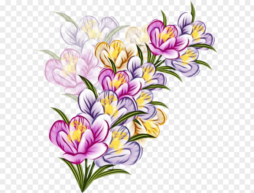 Wildflower Iris Family Bouquet Of Flowers Drawing PNG