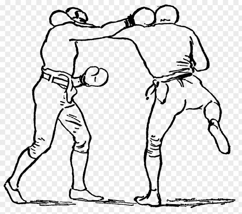 Boxing Line Art Drawing Clip PNG