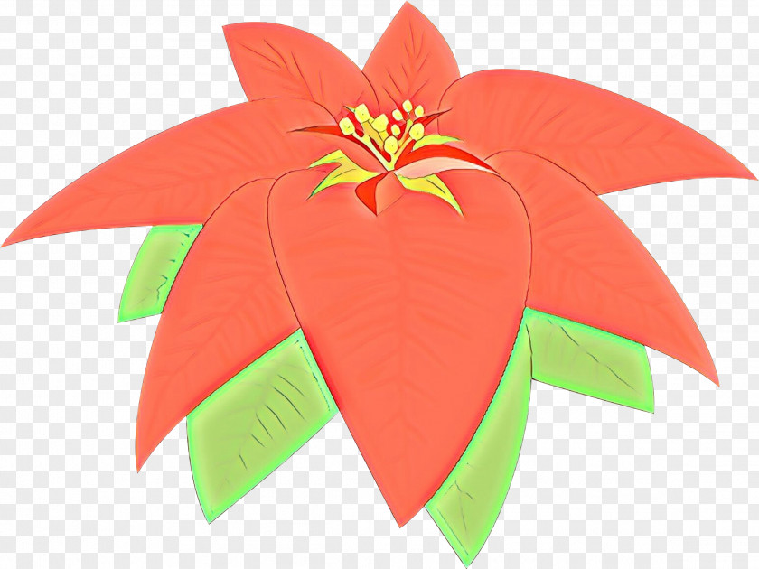 Construction Paper Petal Leaf Art Poinsettia Plant PNG