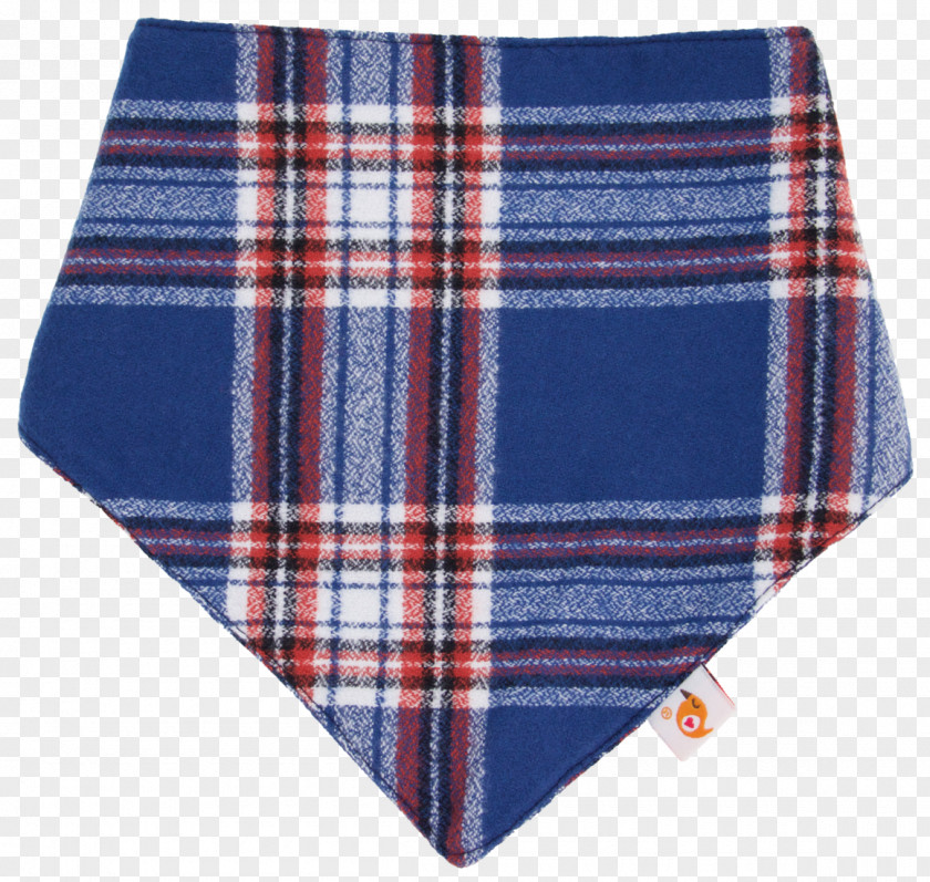 Diaper Pins Cloth Diapers And Rubber Pants Bib Textile Tartan Kerchief Blanket PNG