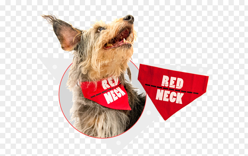 Dog Breed Companion Leash Snout PNG