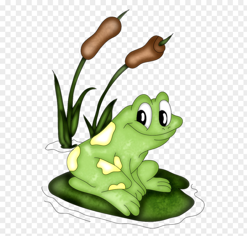 Frog Mouse Diaper Cake Child Amphibians PNG