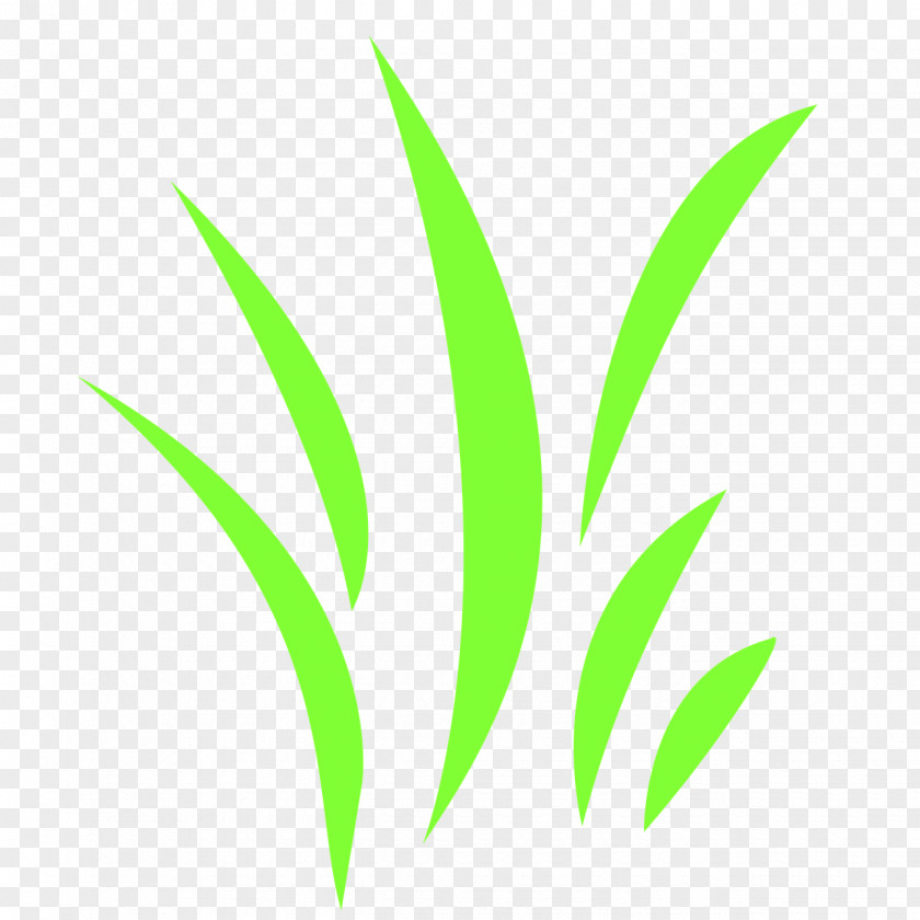 Green Grass Leaf Grasses Plant Stem Font PNG