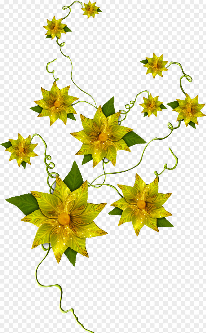 Petal Flower Plant Stem PNG