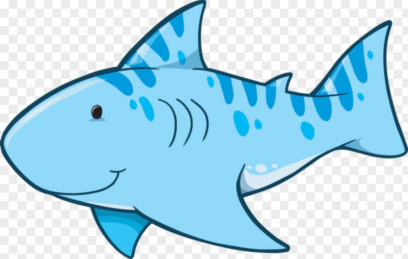 Shark Drawing Clip Art PNG