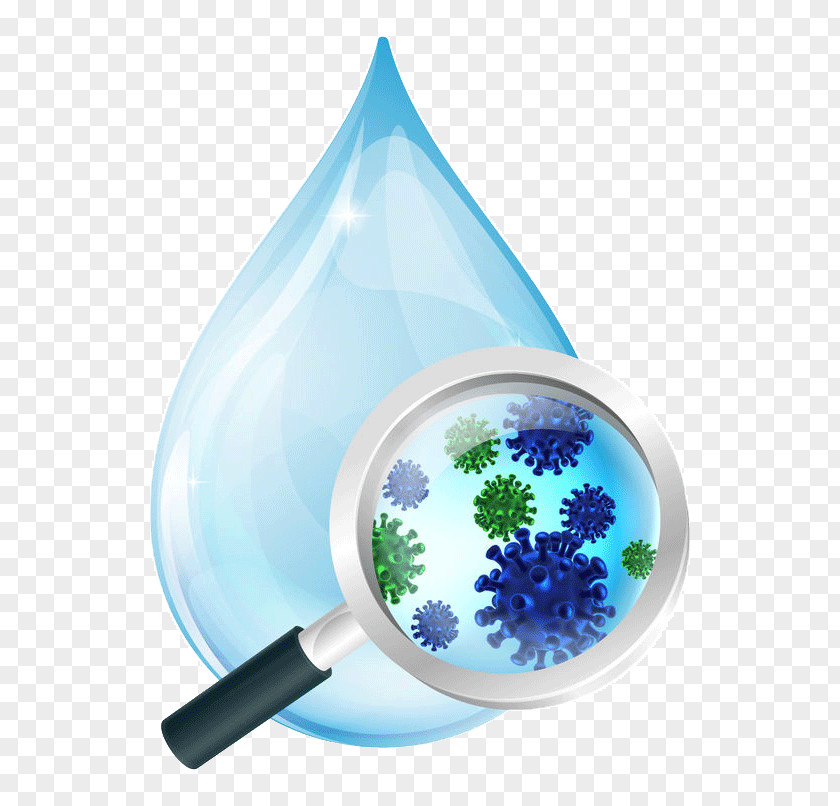 Water Drops Magnifying Glass Bacteria Gut Flora Microscope PNG