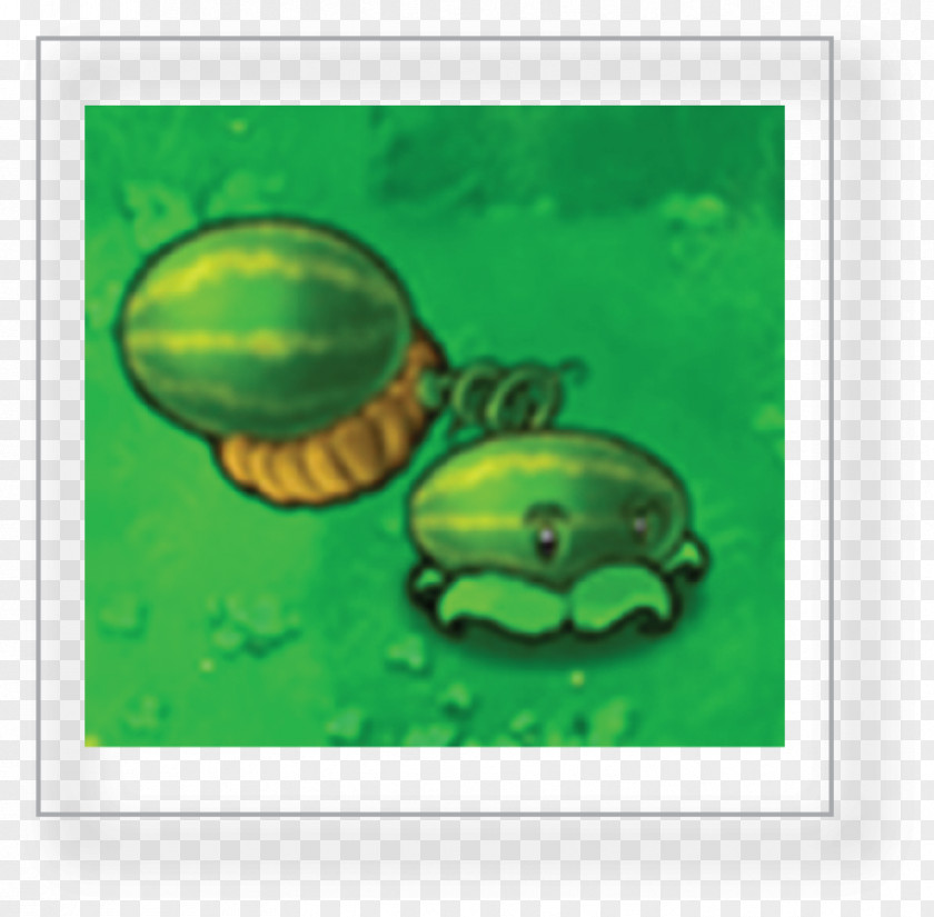 Watermelon Plant Plants Vs. Zombies Heroes Game PNG