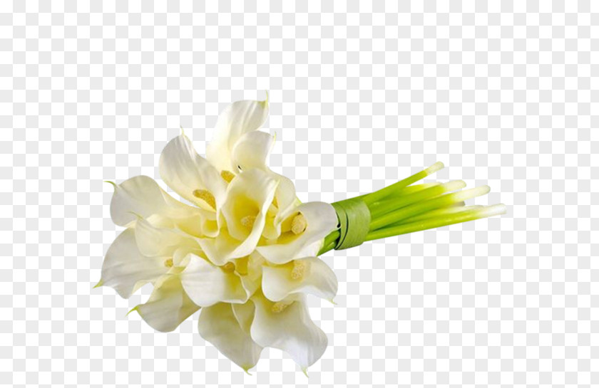 A Bunch Of Lily The Valley Flower Bouquet PNG