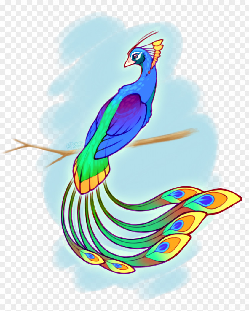 Apple Rainbow Macaw Feather Parakeet Beak PNG