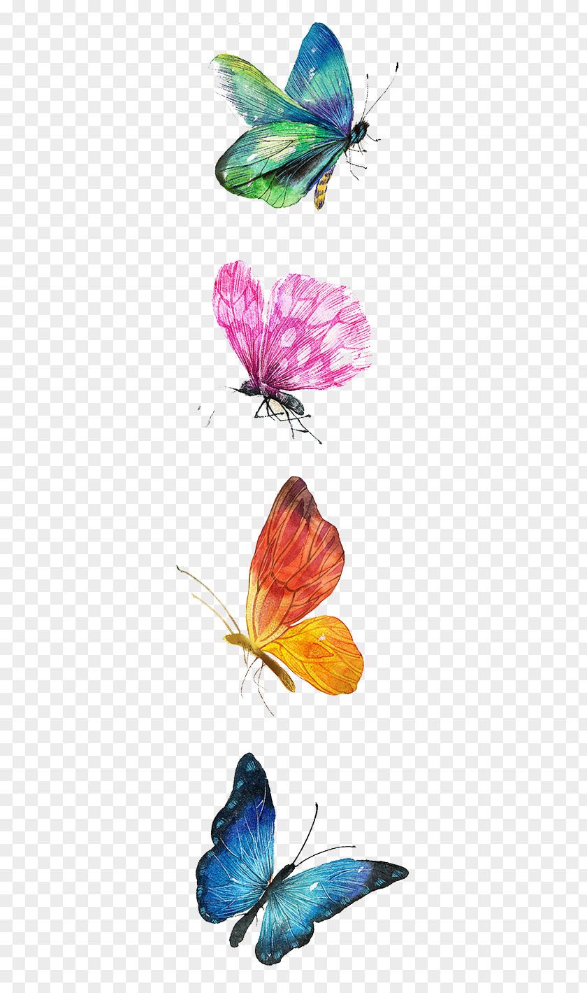 Butterfly Drawing Watercolor Painting Illustration PNG