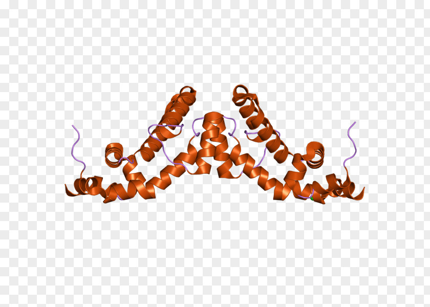 Ebi Rgs7 Regulator Of G Protein Signaling Gene PNG