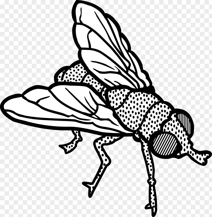 Fly Insect Clip Art PNG