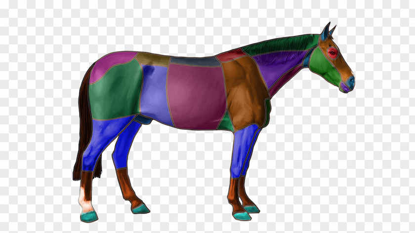 Horse Mule Stallion Mare Pony PNG