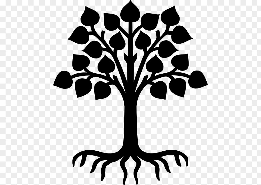 Reunion Design Ideas Tree Root Drawing Clip Art PNG