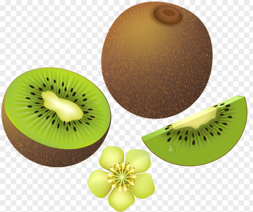 Vegetable Kiwifruit Auglis Clip Art PNG