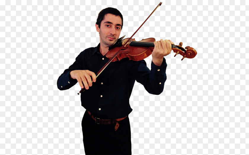 Violin Family Viola Musical Instruments Cello PNG