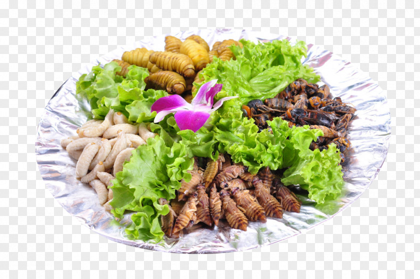 Assorted Insects Yunnan Insect Instant Noodle Eating Food PNG