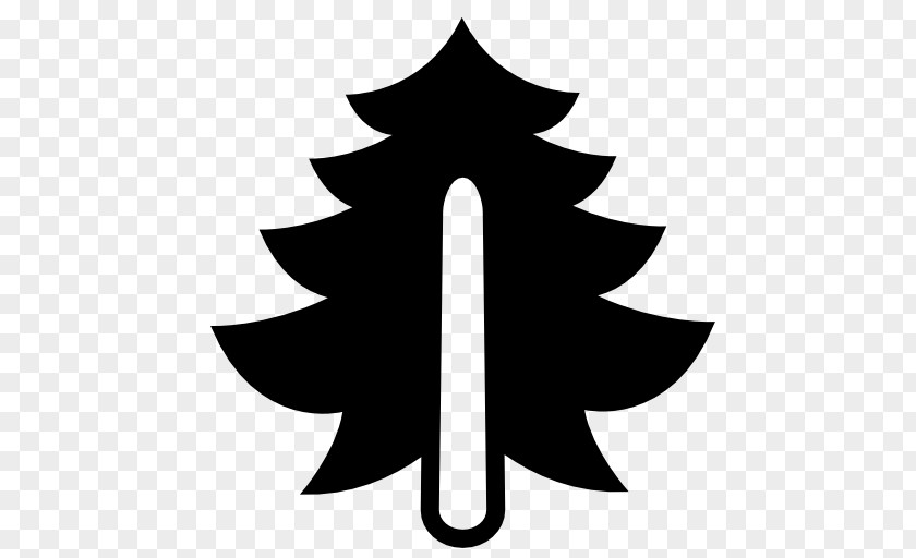 Cedar Tree Pine Forest Logo PNG