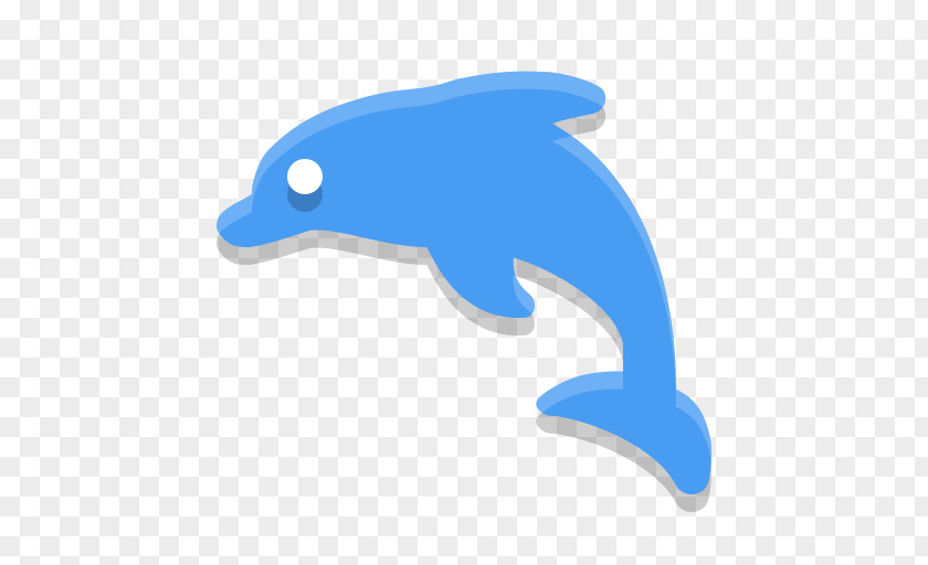 Dolphin Common Bottlenose Image PNG