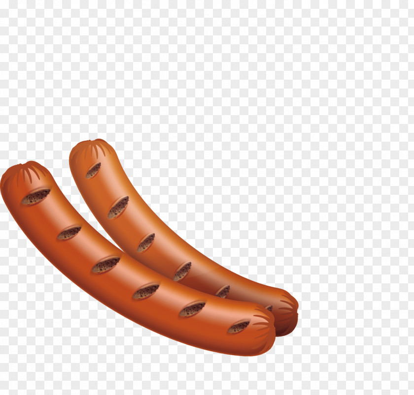 Hot Dog Sausage Vector Churrasco Barbecue Frankfurter Wxfcrstchen PNG