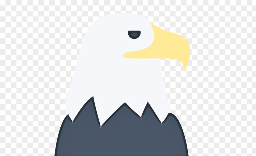 Sea Eagle Bird Of Prey American Football Background PNG