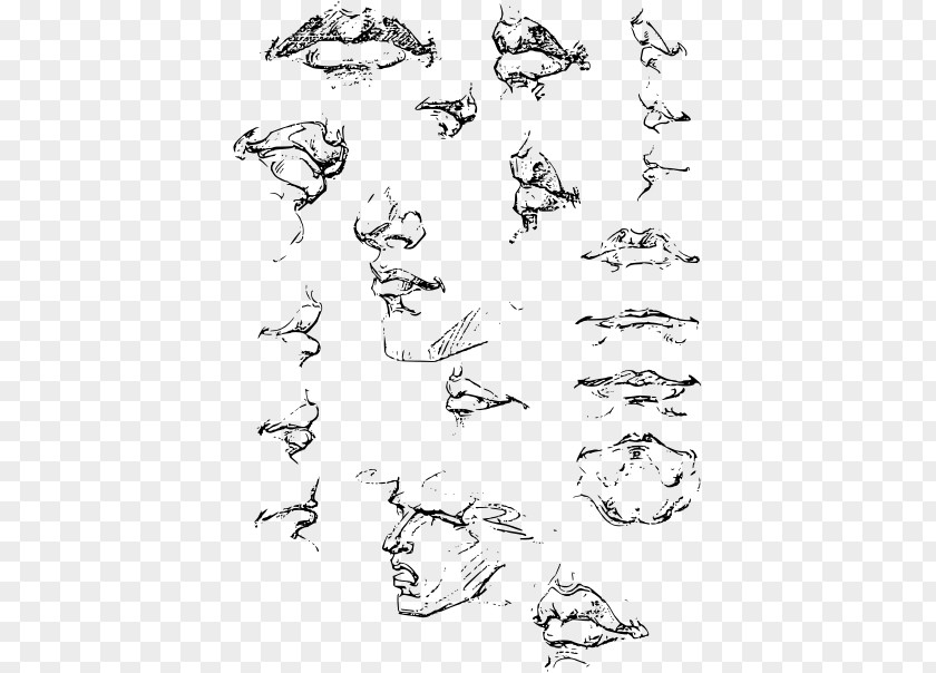 Skeleton Drawing Constructive Anatomy Complete Guide To From Life Painting Sketch PNG