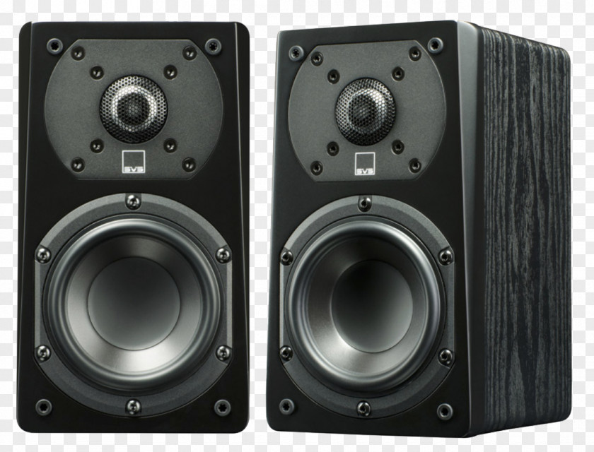 Audio Speakers Pic Loudspeaker 5.1 Surround Sound Home Cinema SVS Subwoofer PNG