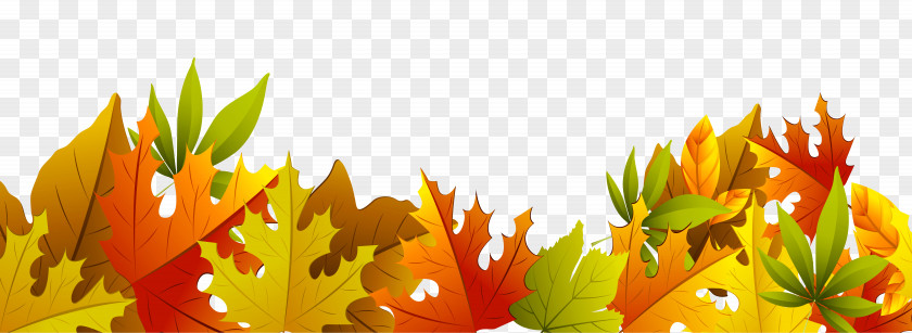 Autumn Leaf Color Clip Art PNG