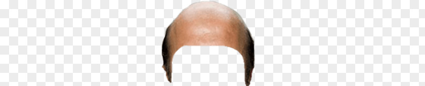 Bald Head Snapchat Filter PNG Filter, person head clipart PNG