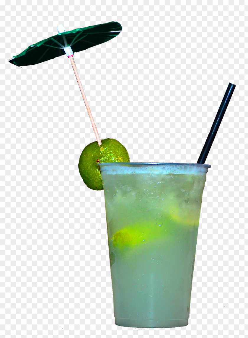 Cocktail Garnish Mai Tai Blue Hawaii Sea Breeze Rickey PNG