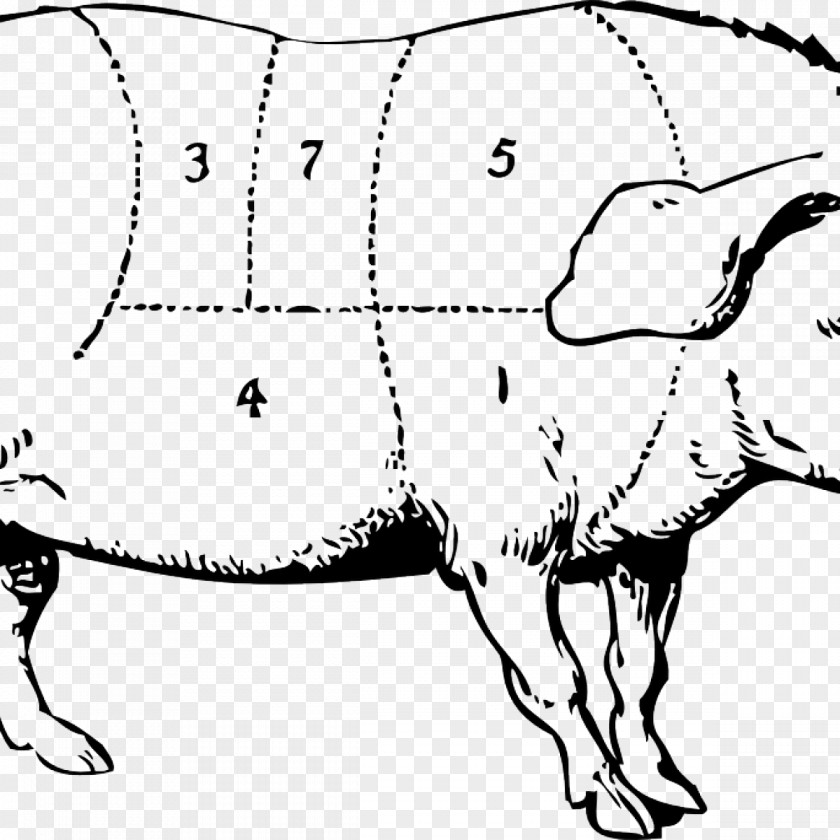 Pig Guinea Clip Art PNG