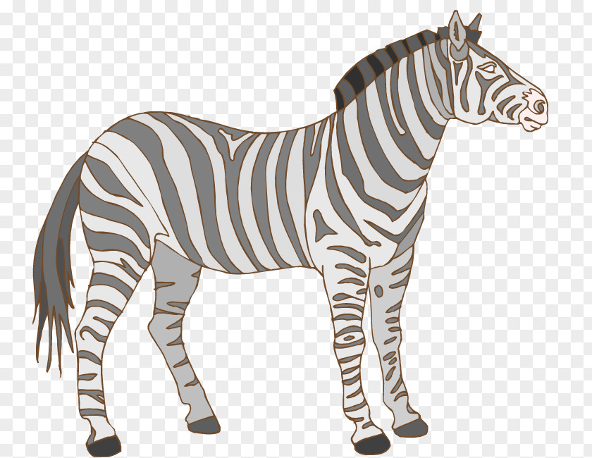 Printing Clipart Zebra Wildlife Clip Art PNG